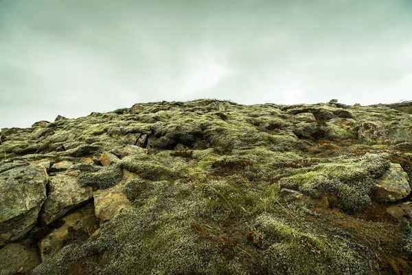 Mos op de stenen op een berg — Stockfoto