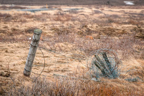 Hek met barb wire op een veld — Stockfoto