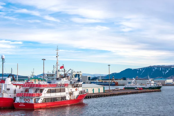 Porto di Reykjavik con barche a vela per escursioni alle balene — Foto Stock