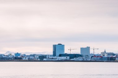 Reykjavik şehir manzaralı okyanus
