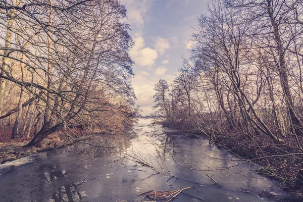 Hielo en un río en el bosque — Foto de Stock