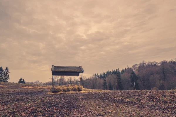 El puesto de alimentación en el campo en otoño —  Fotos de Stock