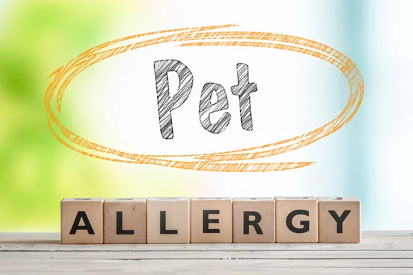 Panneau d'allergie aux animaux sur un bureau en bois — Photo