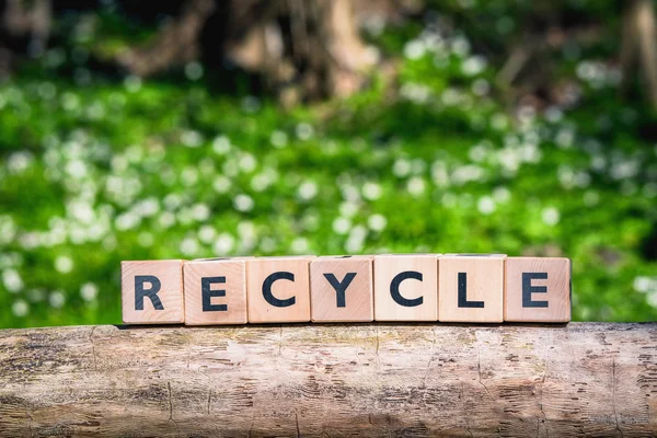 Sinal de reciclagem em uma floresta verde — Fotografia de Stock