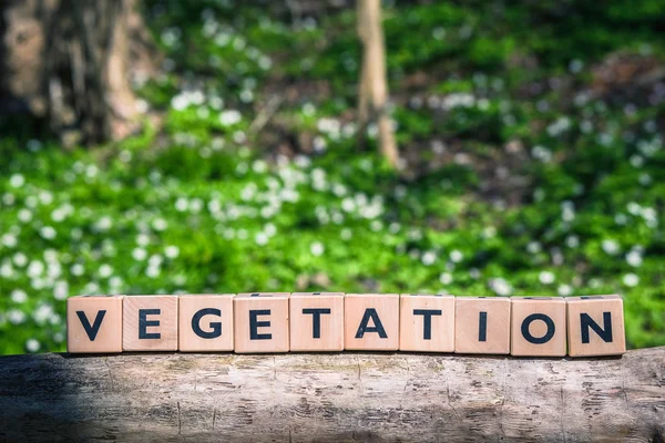 Vegetation sign in a green forest with plants