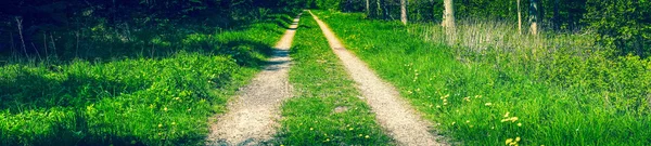 Dirt road in a panorama scenery — Stock Photo, Image