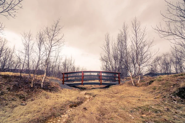 Kleine Brücke an einem trockenen Fluss — Stockfoto