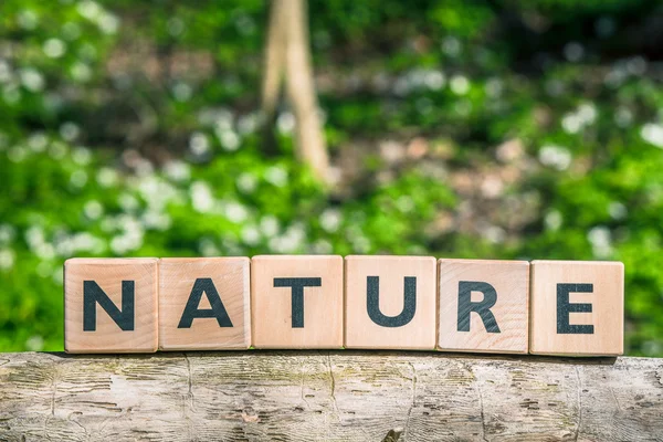 Nature sign on a wooden branch — Stock Photo, Image