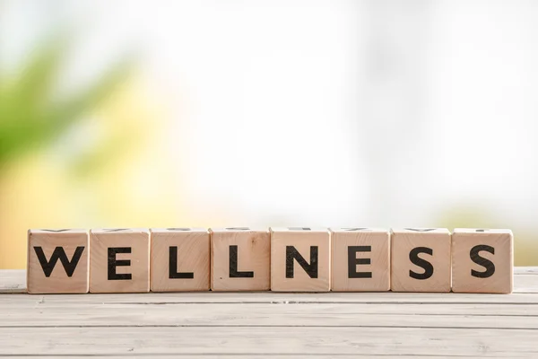 Wooden sign with the word wellness — Stock Photo, Image