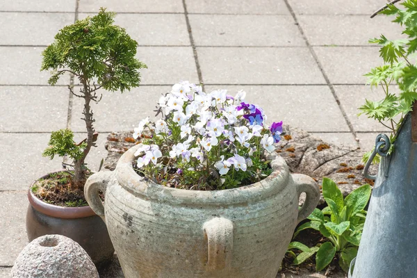 Trädgård prydnad med blomkrukor — Stockfoto