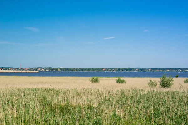 Paisagem costeira com grama à beira-mar — Fotografia de Stock