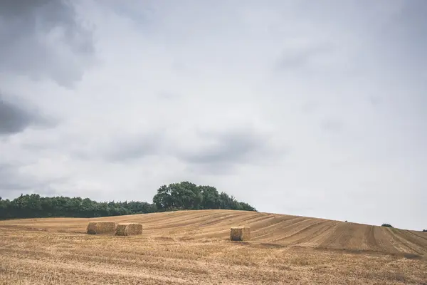 Tempo nublado sobre um campo — Fotografia de Stock