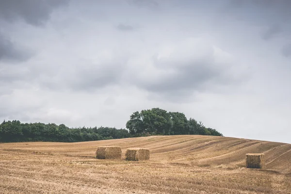 Paesaggio di campagna con balle di fieno su un campo raccolto — Foto Stock