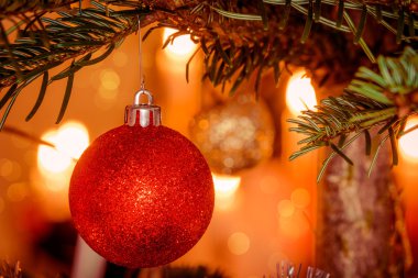 Kırmızı Xmas topu bir Noel ağacı üzerinde