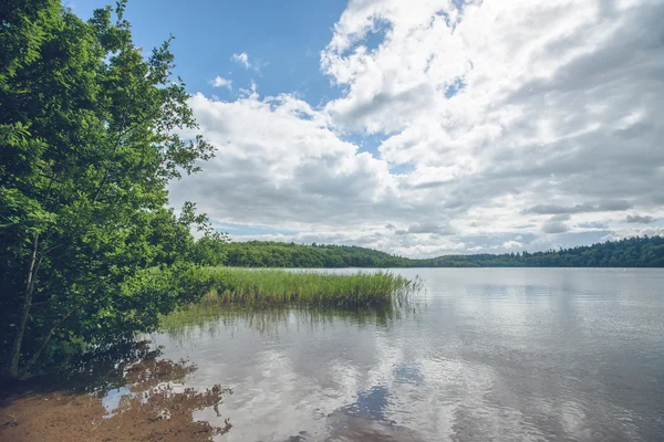 Lago idilliaco con alberi verdi — Foto Stock