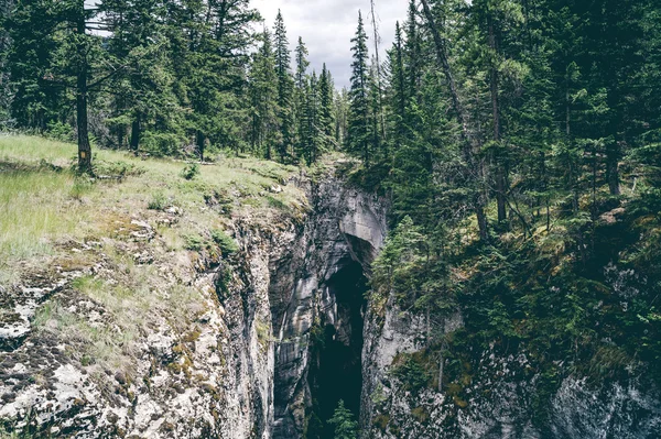 Gran cueva en un bosque de pinos —  Fotos de Stock