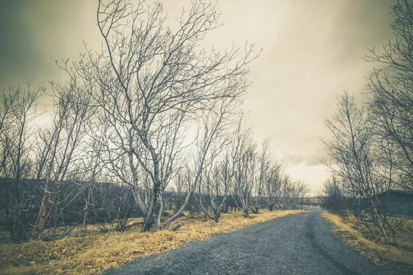 Route de gravier noir par temps nuageux — Photo