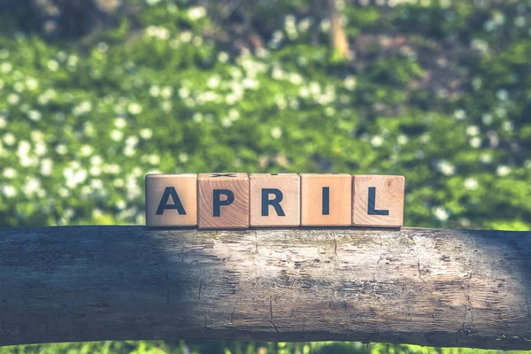 Grüner Garten im April mit Hinweisschild — Stockfoto
