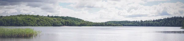Paisaje del lago por un bosque verde — Foto de Stock