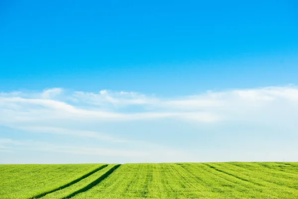 Gröna landskapet med fältet spår — Stockfoto