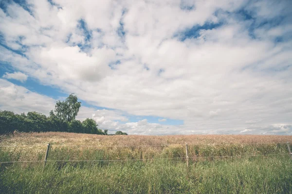 Cerca en un prado —  Fotos de Stock