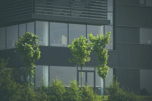 Grüne Bäume vor einem Büro — Stockfoto