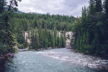 Dağlardaki vahşi nehir