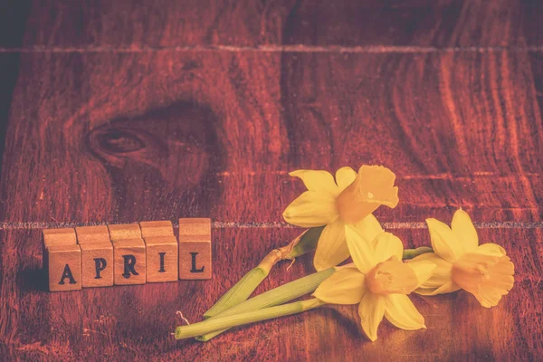 Daffodils em abril na mesa de madeira — Fotografia de Stock