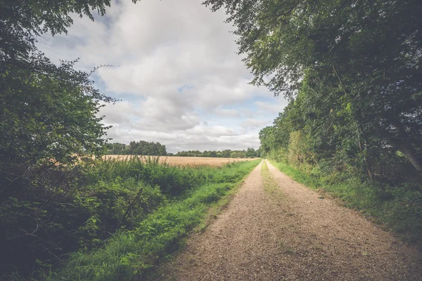 Landschaft mit Feldweg — Stockfoto