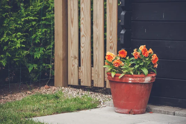 Flowerpot with orange flowers in a garden — Stockfoto