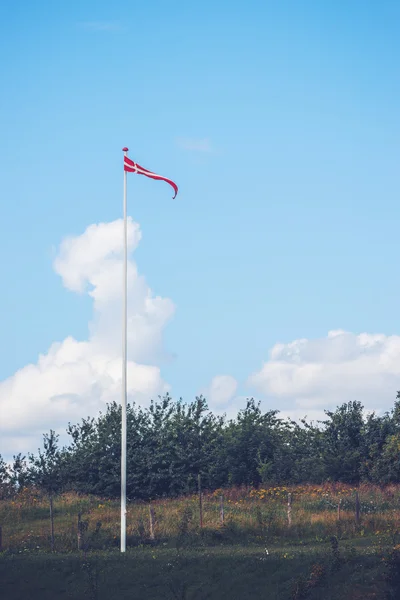 Wimpel in Deense kleuren op een gazon — Stockfoto