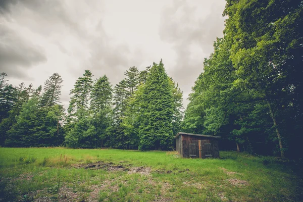 Kleine houten schuur op een veld — Stockfoto