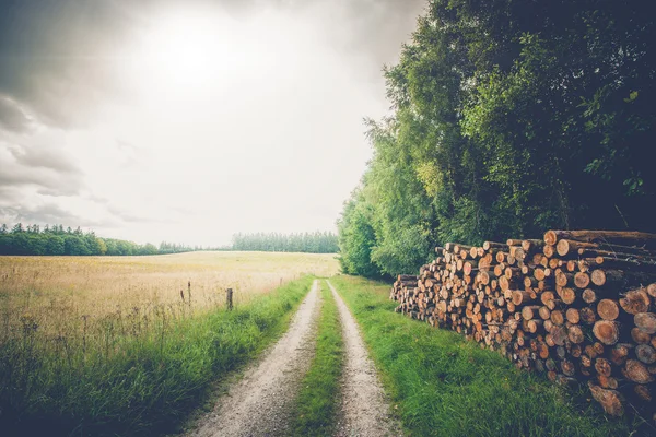 Tronchi di legno lungo una strada — Foto Stock