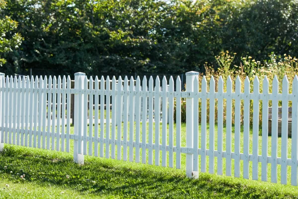 Bílým plotem v zahradě — Stock fotografie