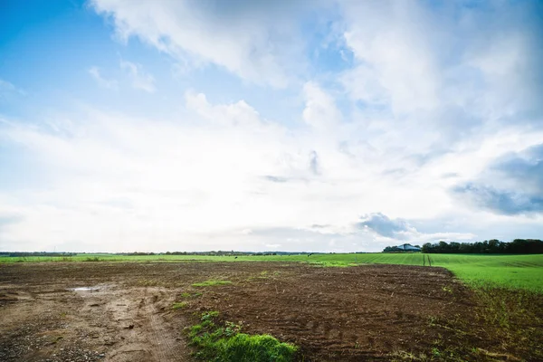 Krajobraz Wiejski Śladami Ciągnika Brązowej Glebie Pod Błękitnym Niebem — Zdjęcie stockowe