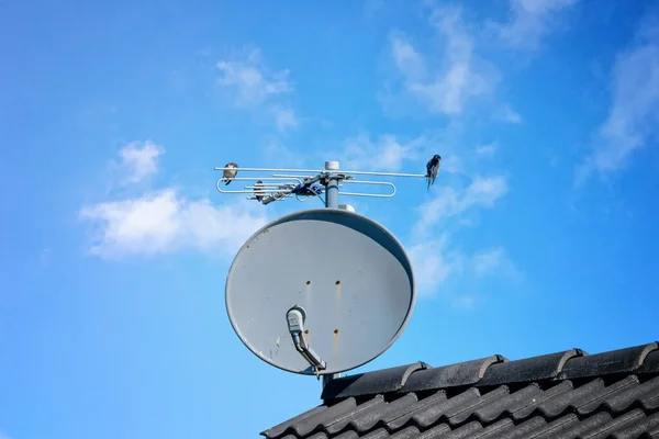 Птицы Спутниковой Тарелке Крыше Летом Голубым Небом — стоковое фото