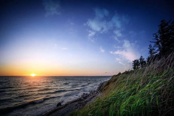 緑の芝生と木々の青い空の下で海沿いの夕日 — ストック写真