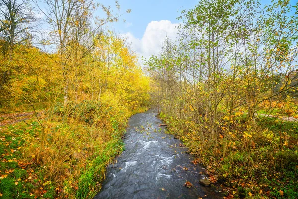 Осенний Пейзаж Речным Ручьем Проходящим Через Красочный Лес Осенью — стоковое фото