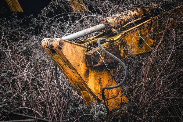 Vieja Excavadora Amarilla Abandonada Jardín Una Mañana Helada —  Fotos de Stock