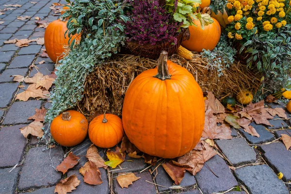 Halloween ornament at autumn — Stock Photo, Image