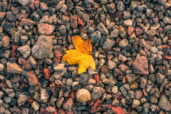 秋天叶上的小石子 — 图库照片