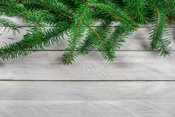 Pine op hout achtergrond — Stockfoto