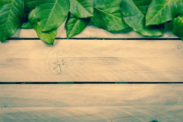 Leaves on wooden background — Stock Photo, Image