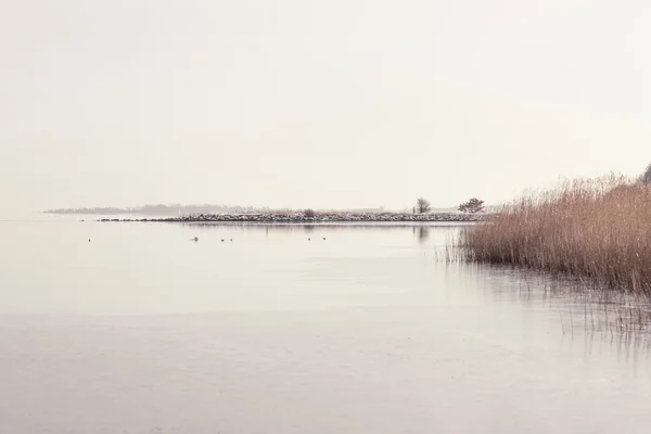 Lake landschap in de winter — Stockfoto