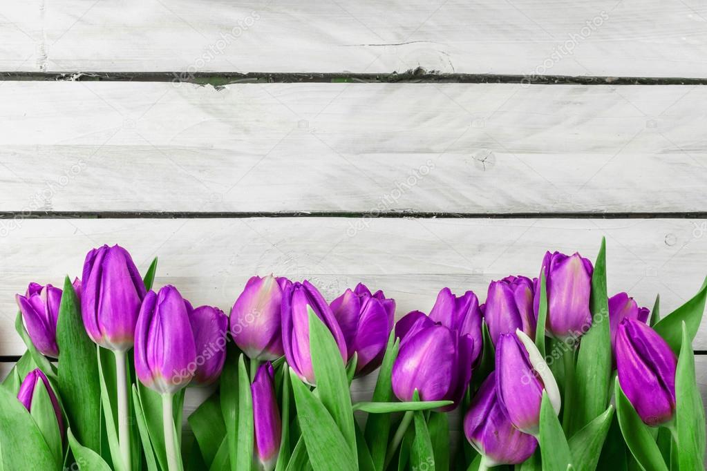 Tulip flowers on wood background