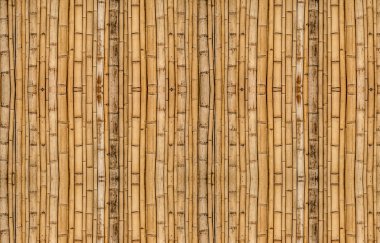 Bambu arka planda dikey hizalama