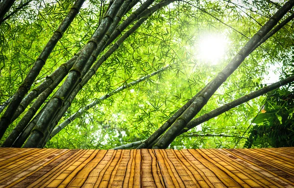 Bambu ormanı bir zemin — Stok fotoğraf