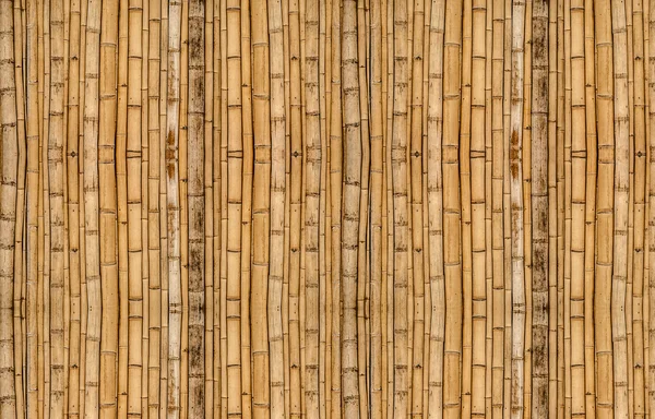 Fundo de bambu em alinhamento vertical — Fotografia de Stock