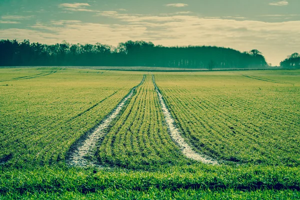 Tracks op een groen veld — Stockfoto
