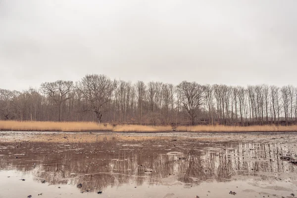 Lago no inverno — Fotografia de Stock